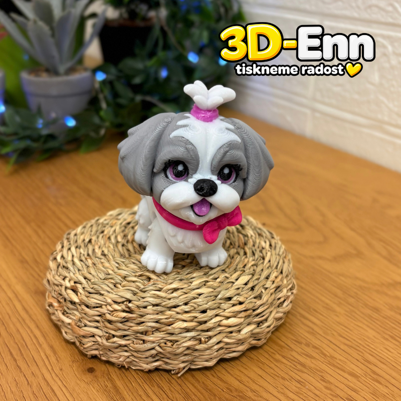 Shih-tzu šedá