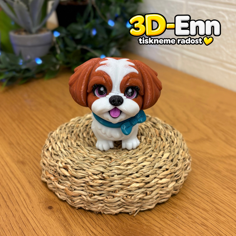 Shih-tzu hnědá
