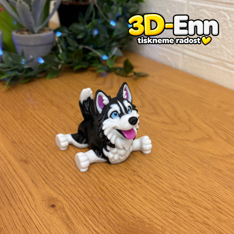 Sibiřský husky