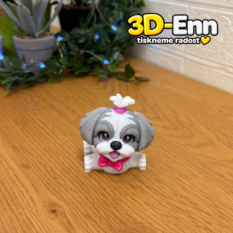 Shih-tzu šedá