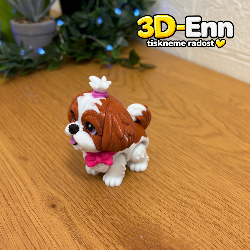 Shih-tzu hnědá