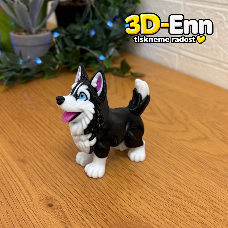 Sibiřský husky