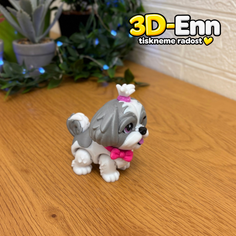 Shih-tzu šedá