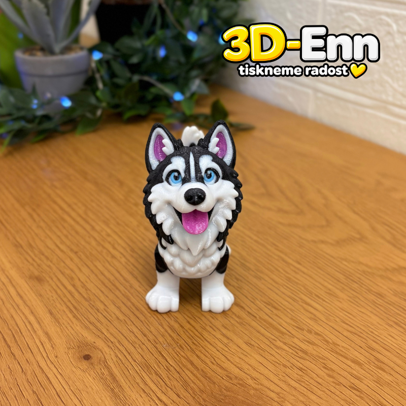 Sibiřský husky