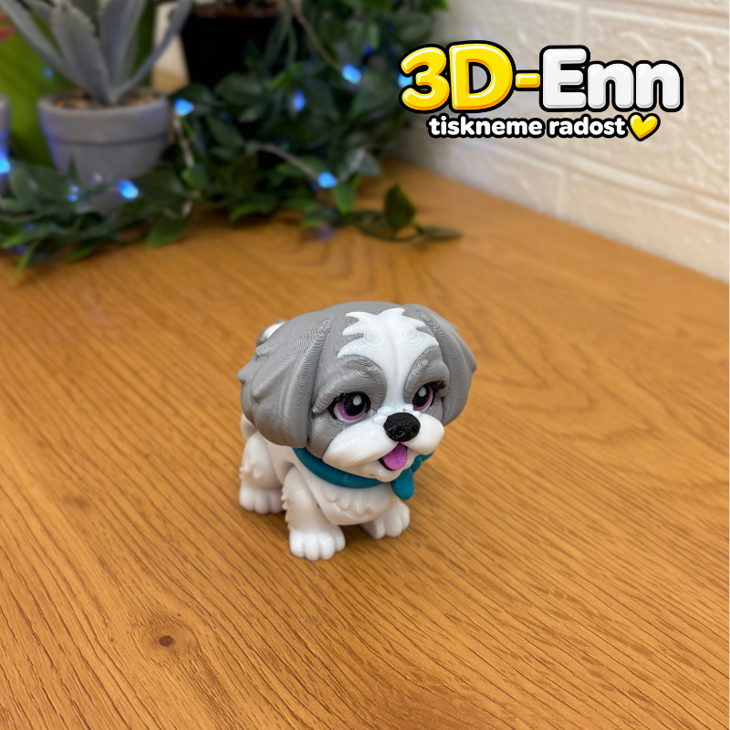 Shih-tzu šedá