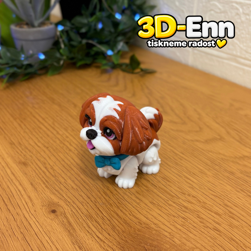 Shih-tzu hnědá