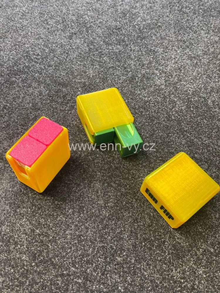Enn FliP