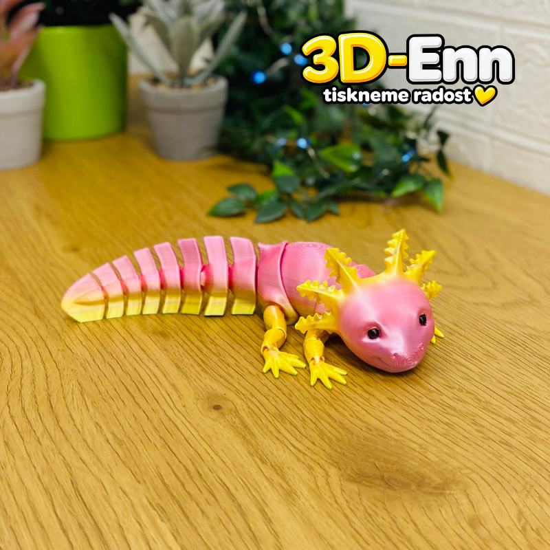 Axolotl mexický