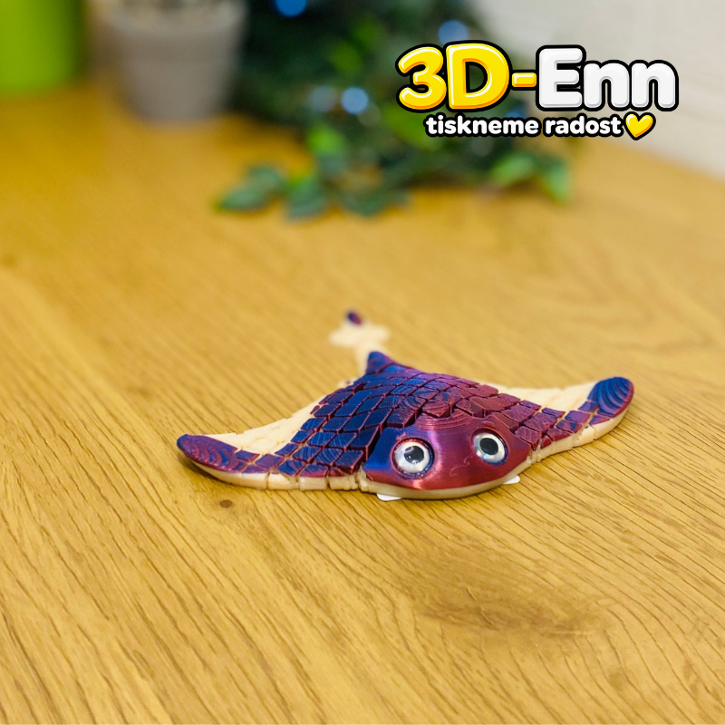 Rejnok manta