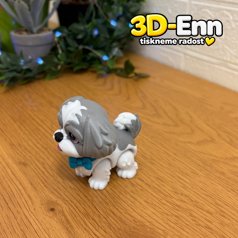 Shih-tzu šedá