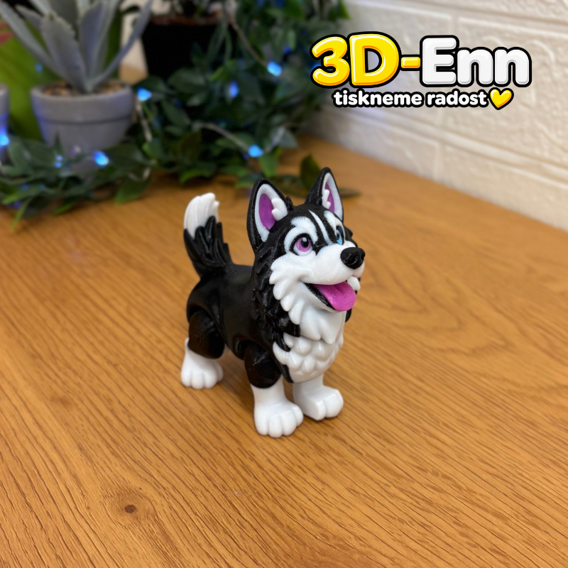Sibiřský husky