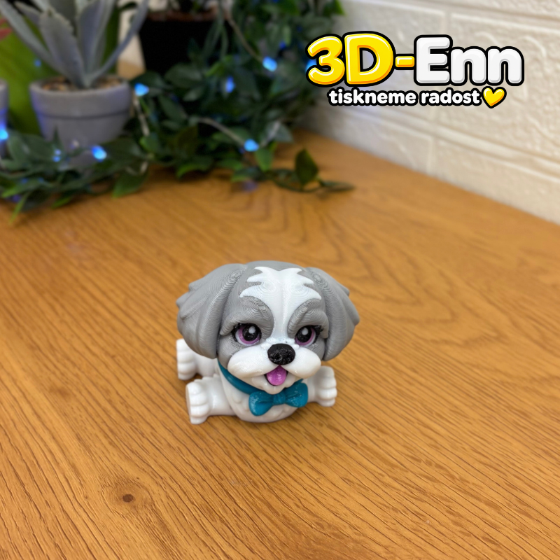 Shih-tzu šedá