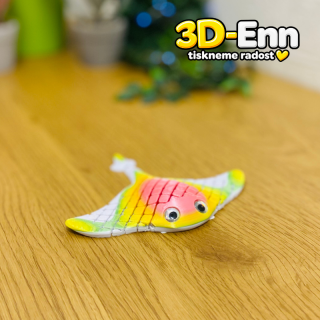 Rejnok manta