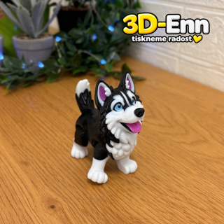Sibiřský husky
