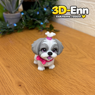 Shih-tzu šedá