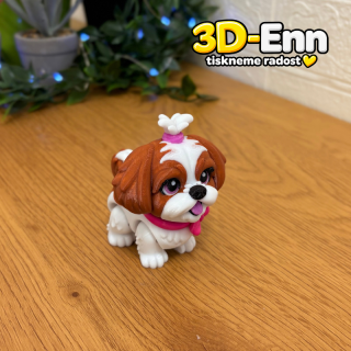 Shih-tzu hnědá
